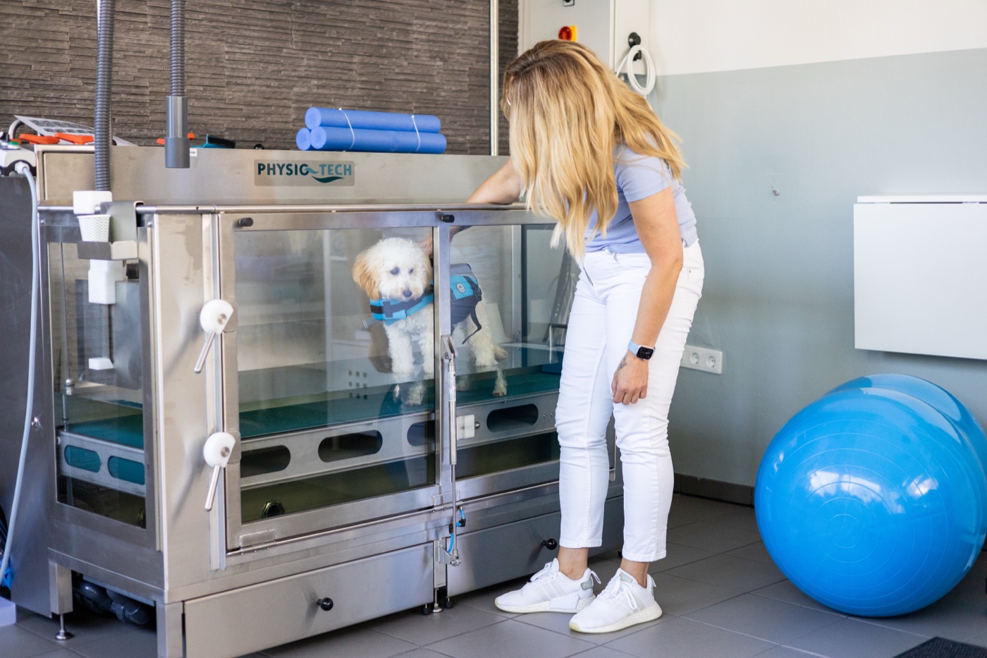 Nicole Stolte von Balance Vital Dogs behandelt einen Hund im Unterwasserlaufband