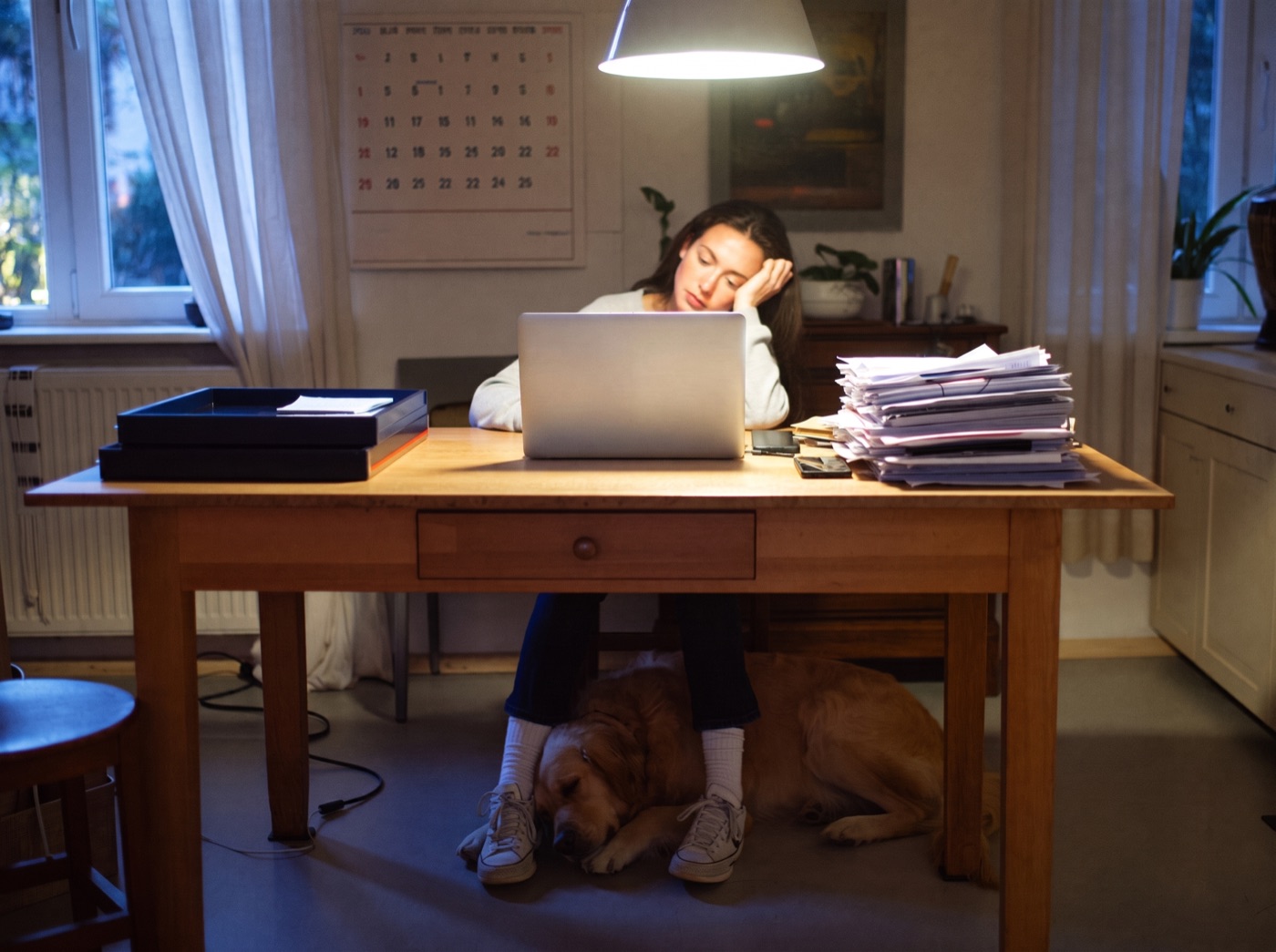 Müde Frau sitzt abends mit Laptop und Papierstapeln am Küchentisch, ihr Hund schläft unter dem Tisch